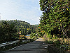t11_016_thumb.jpg