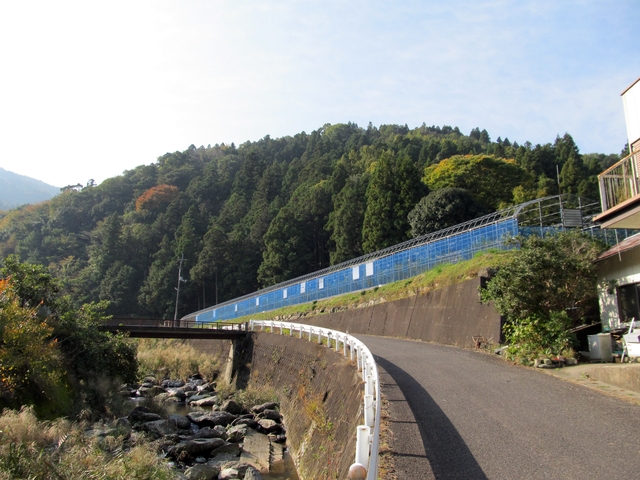 t11_017.jpg