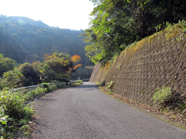 t11_020.jpg