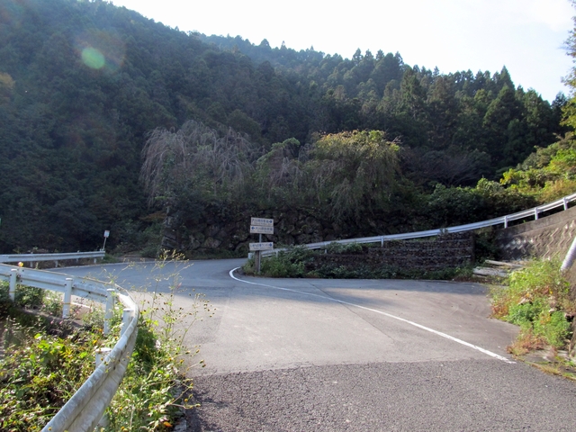 t11_021.jpg