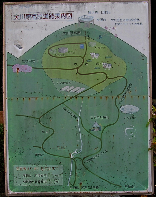 t11_022.jpg