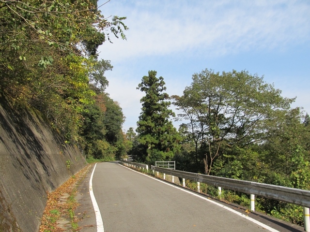 t11_024.jpg