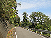 t11_024_thumb.jpg