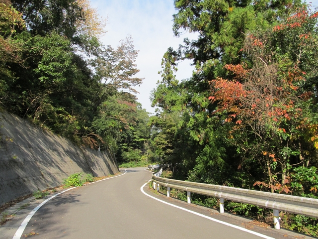 t11_025.jpg