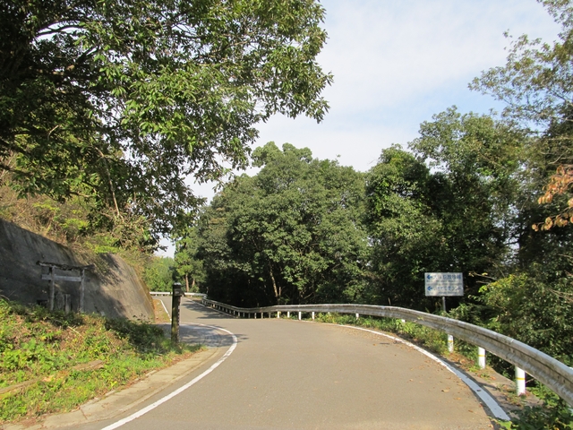 t11_026.jpg