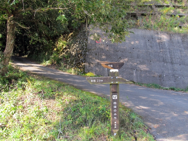 t11_027.jpg