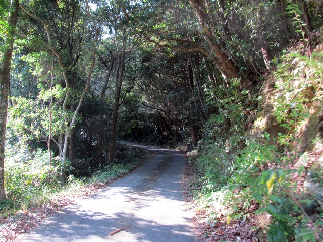 t11_028.jpg