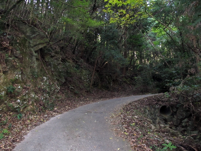 t11_029.jpg