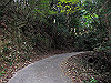 t11_029_thumb.jpg