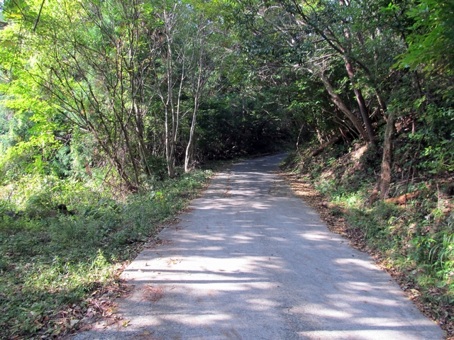 t11_033.jpg