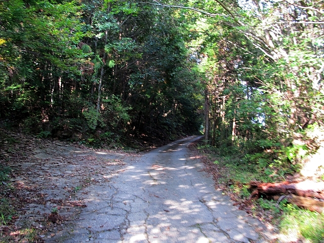 t11_034.jpg
