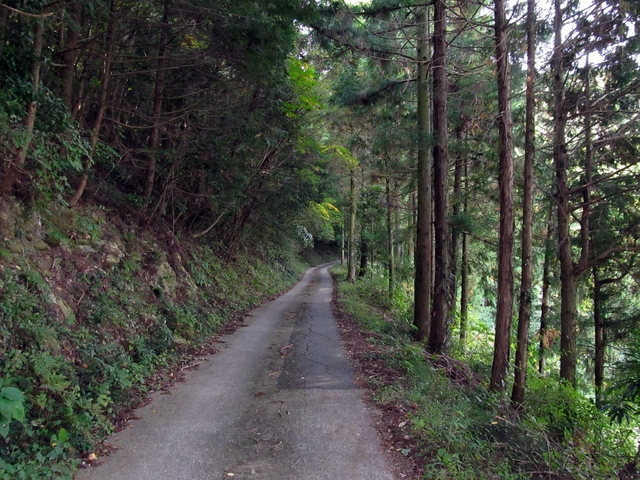 t11_035.jpg
