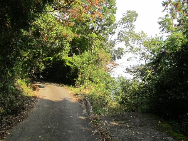 t11_036.jpg