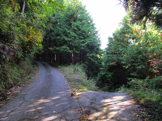 t11_037.jpg
