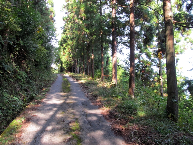 t11_038.jpg