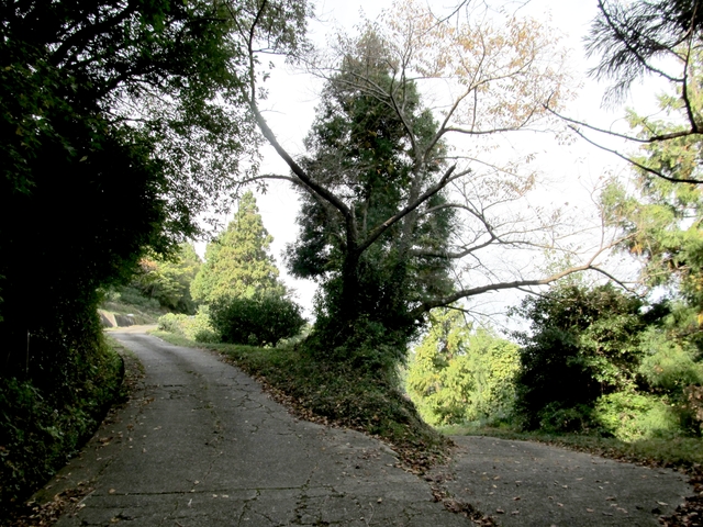 t11_039.jpg