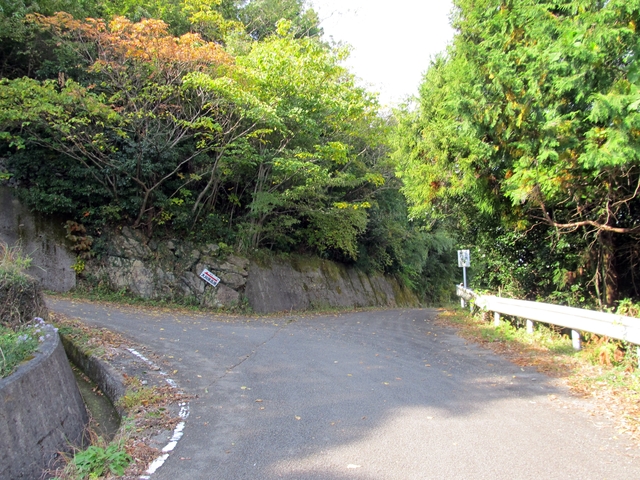 t11_040.jpg