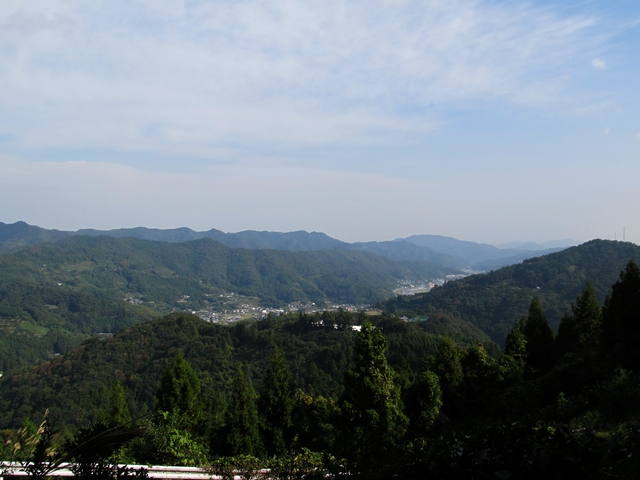t11_041.jpg
