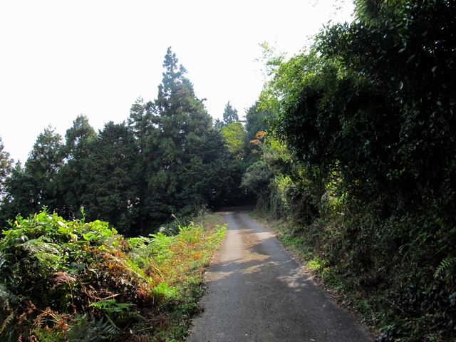 t11_042.jpg