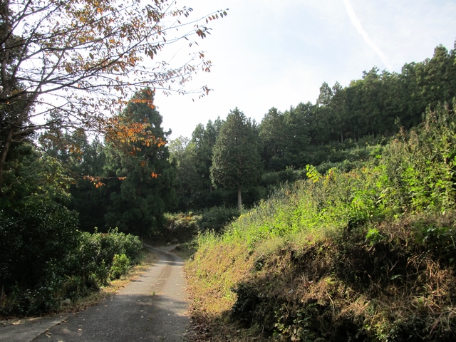 t11_043.jpg