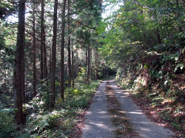 t11_044.jpg