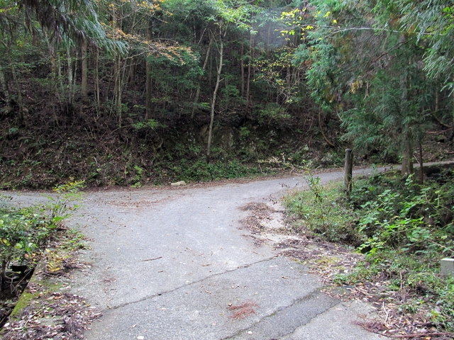 t11_045.jpg