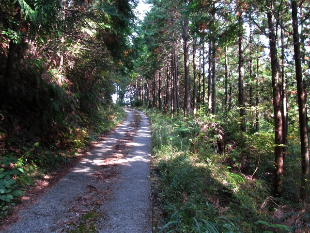 t11_047.jpg