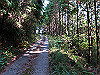 t11_047_thumb.jpg