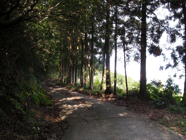 t11_048.jpg
