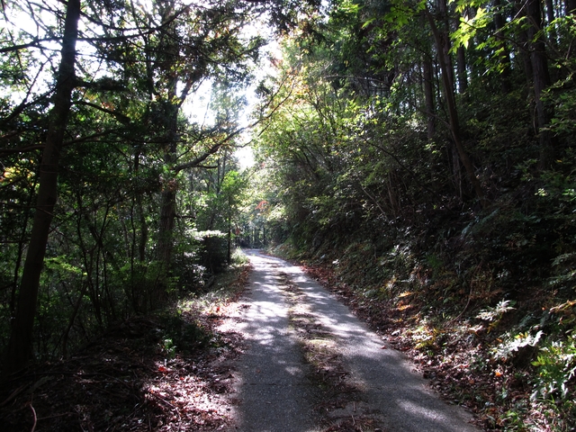 t11_049.jpg