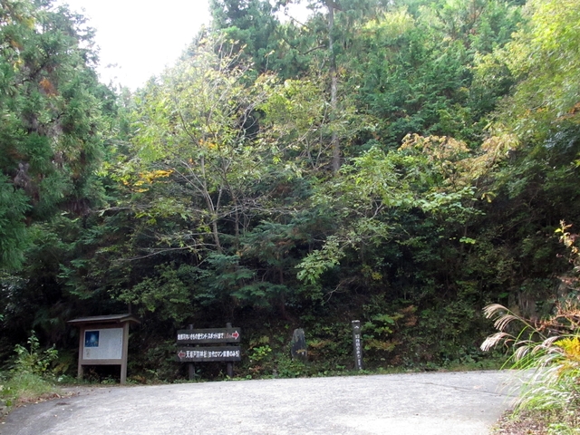 t11_050.jpg