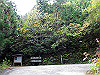t11_050_thumb.jpg