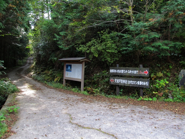 t11_051.jpg