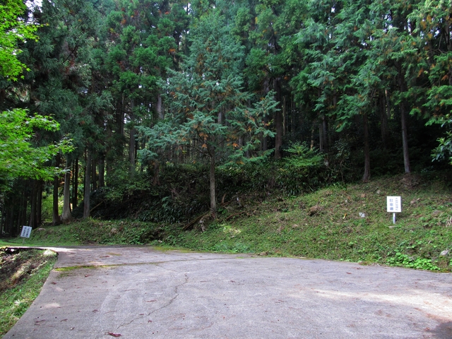 t11_055.jpg