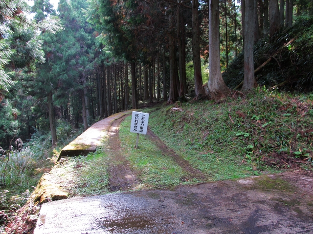 t11_056.jpg