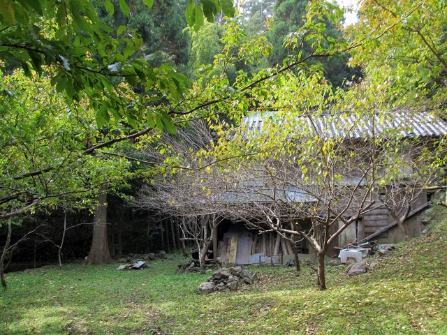 t11_058.jpg