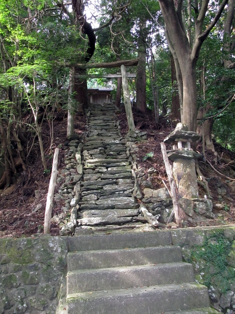 t11_060.jpg