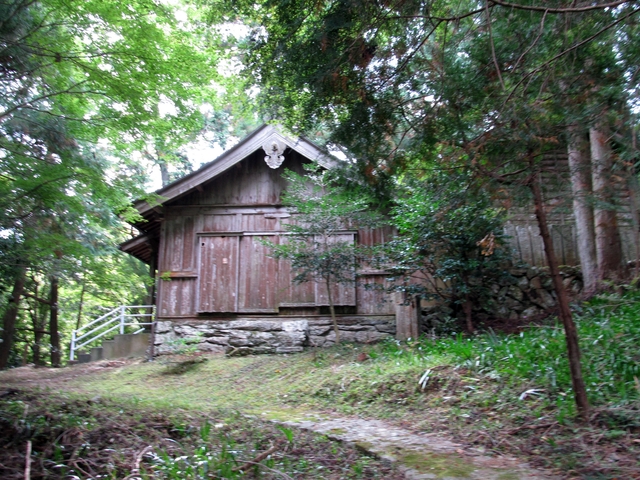 t11_061.jpg