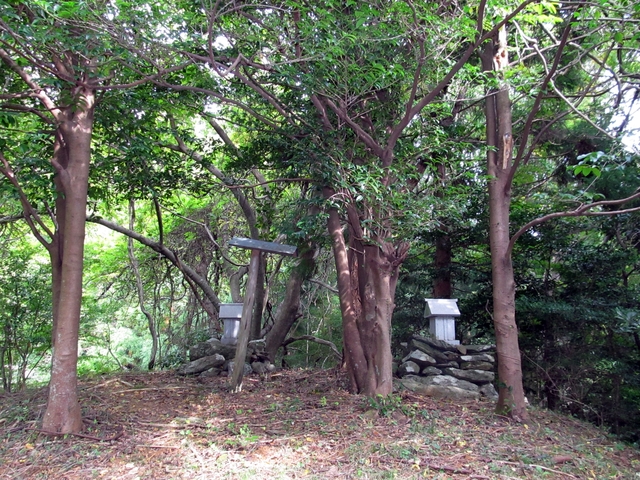 t11_067.jpg