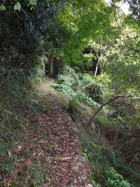 t11_068.jpg