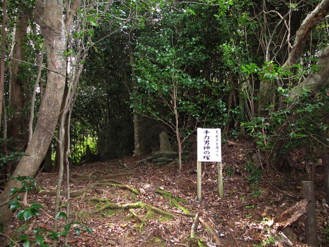 t11_070.jpg