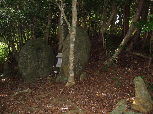 t11_071.jpg