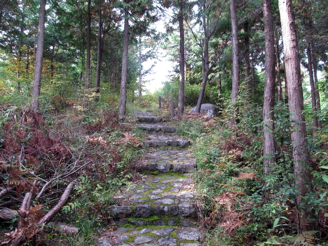 t11_072.jpg