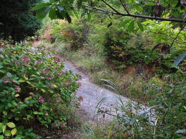 t11_073.jpg