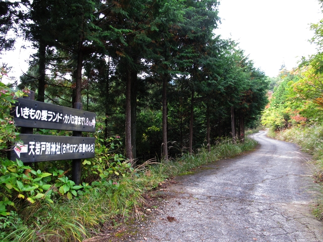 t11_074.jpg