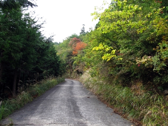 t11_075.jpg