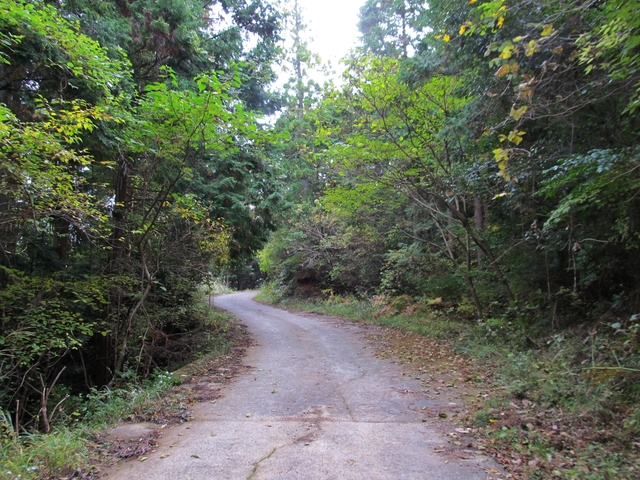 t11_076.jpg