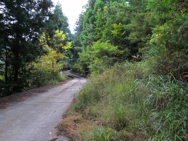 t11_077.jpg