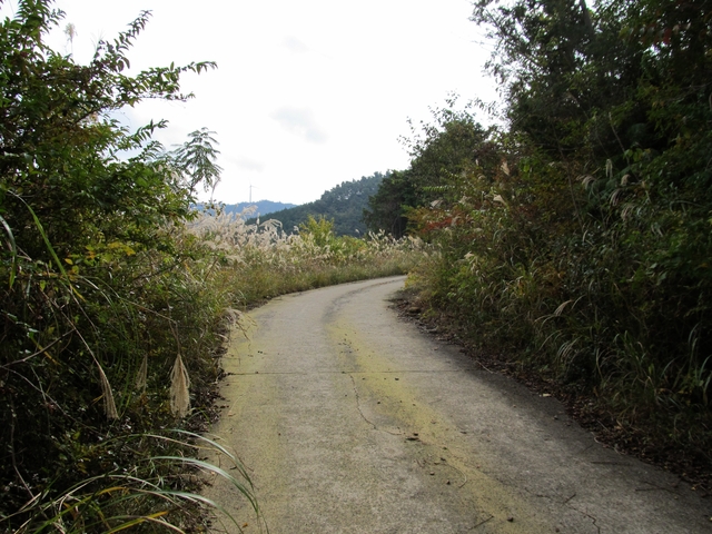 t11_078.jpg