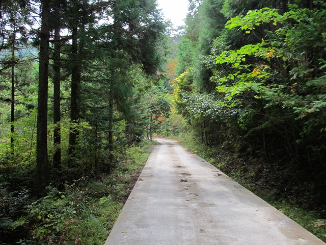 t11_079.jpg